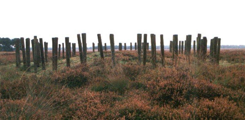Regte Heide en omgeving