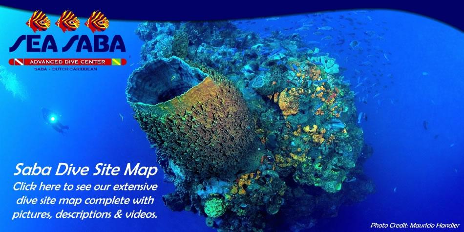 Sea Saba Dive Center