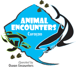 Animal Encounters